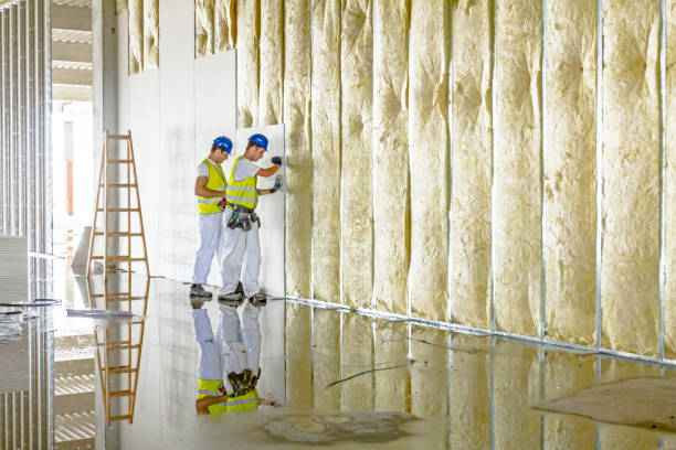 Best Garage Insulation Installation  in Fort Clark Springs, TX